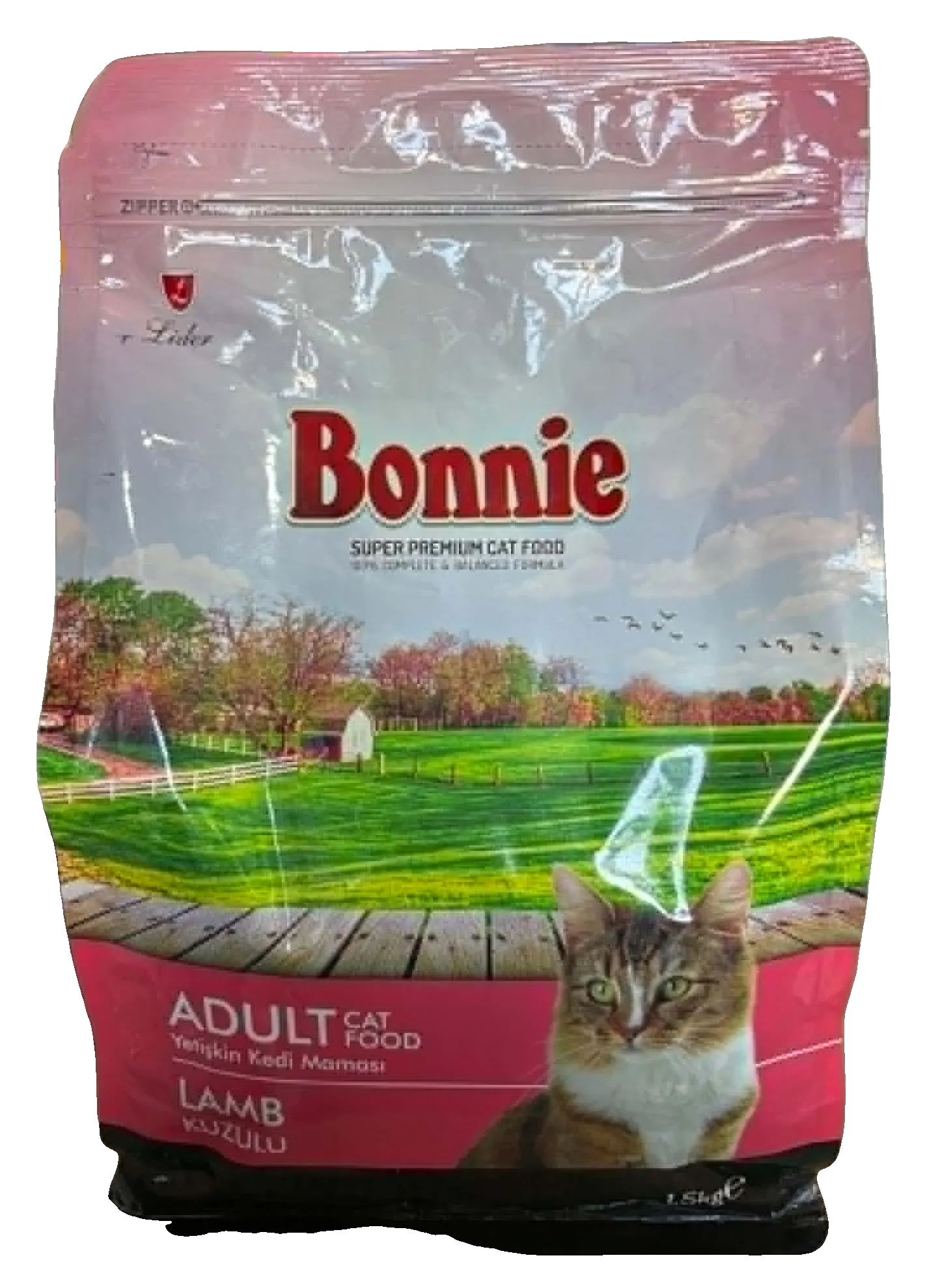 Bonnie Chat Adulte Agneau