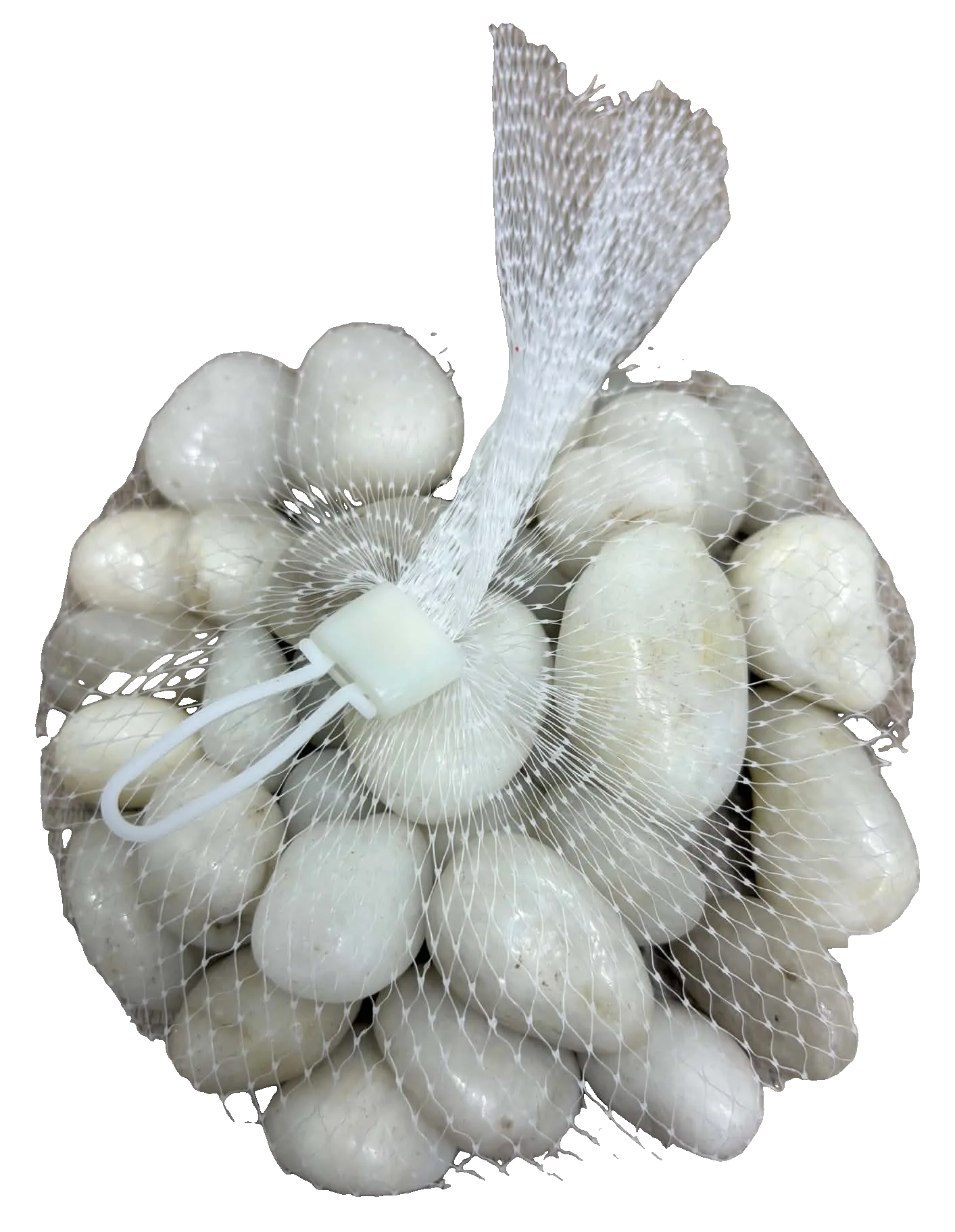 Galets blancs décoratifs pour aquarium