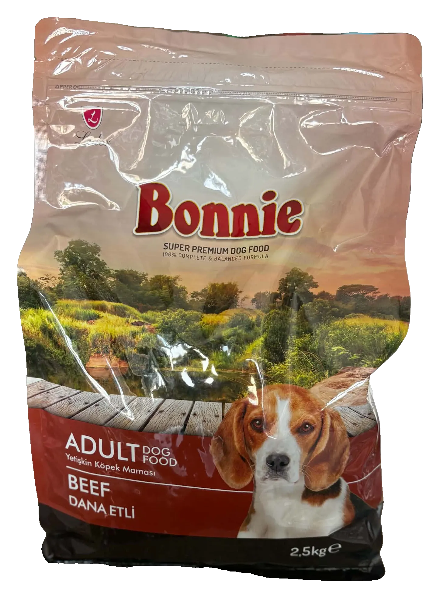 Bonnie Chien Adulte Bœuf