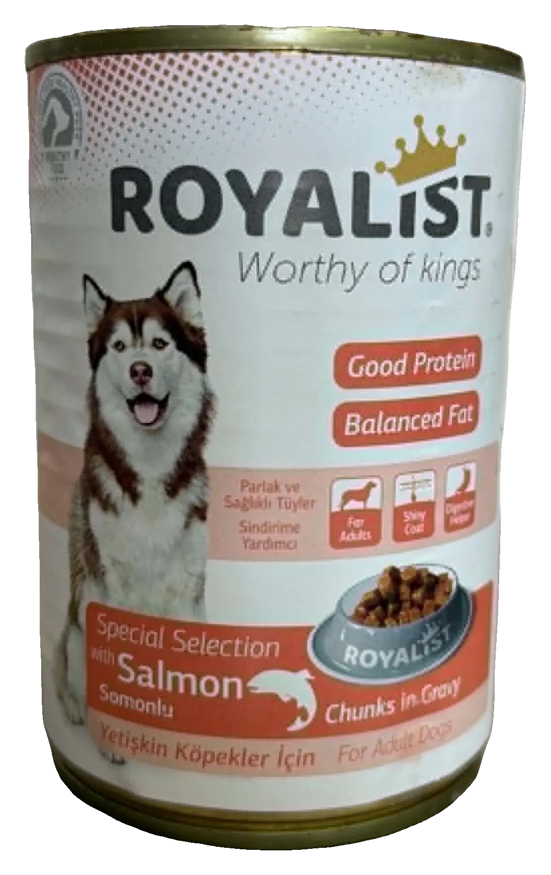 Royalist Boîte Chien Saumon