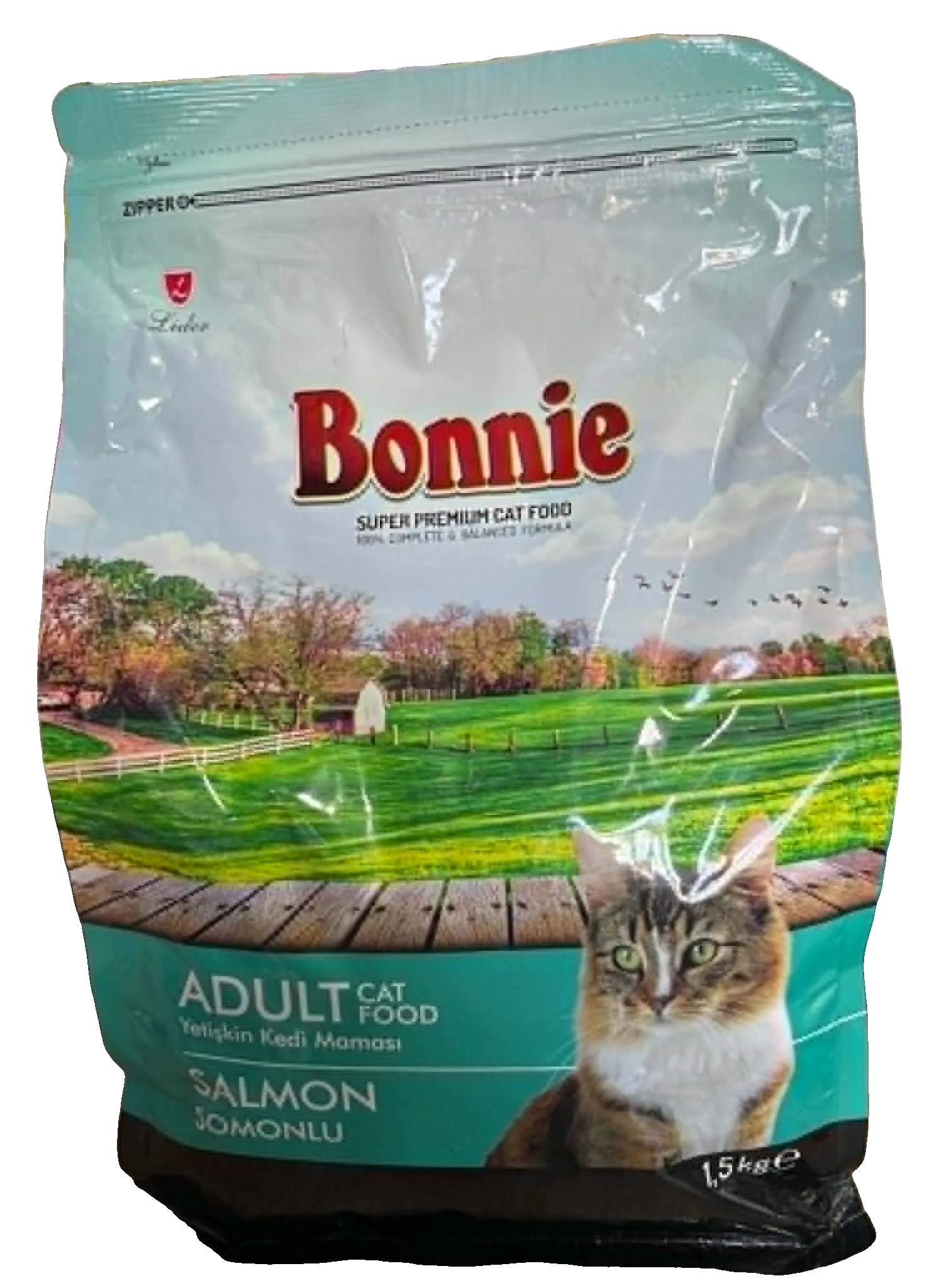Bonnie Chat Adulte Saumon