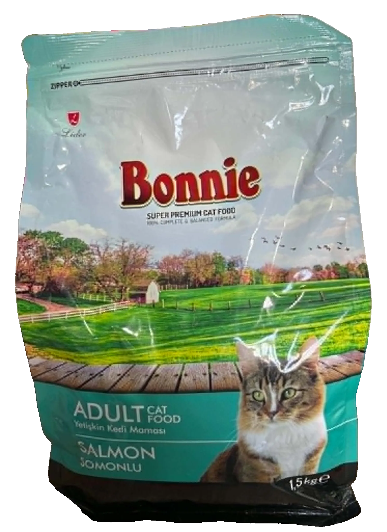 Bonnie Chat Adulte Saumon