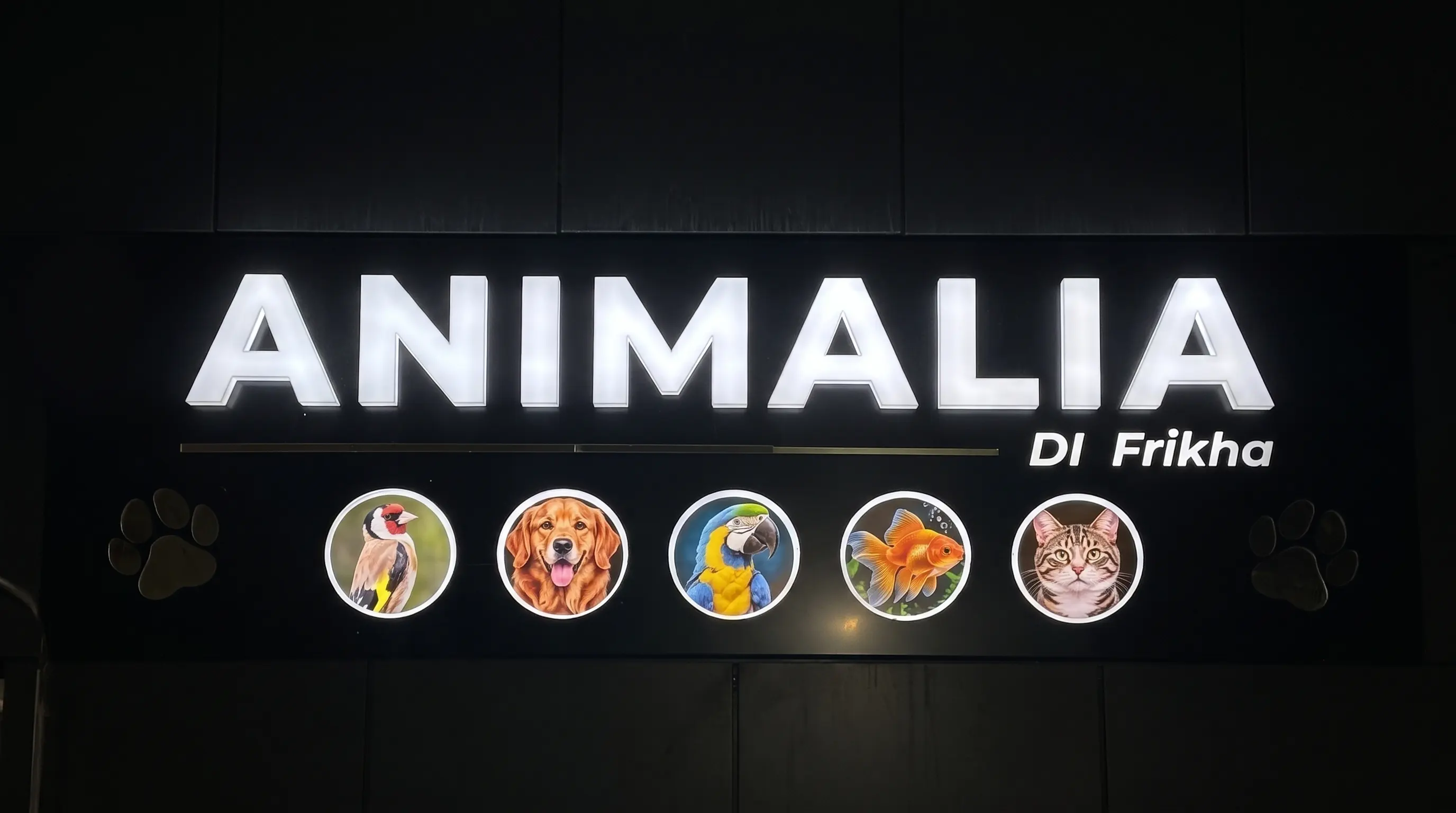 Enseigne lumineuse de la boutique Animalia Di Frikha à Sfax : chardonneret, chien, perroquet, poisson rouge et chat